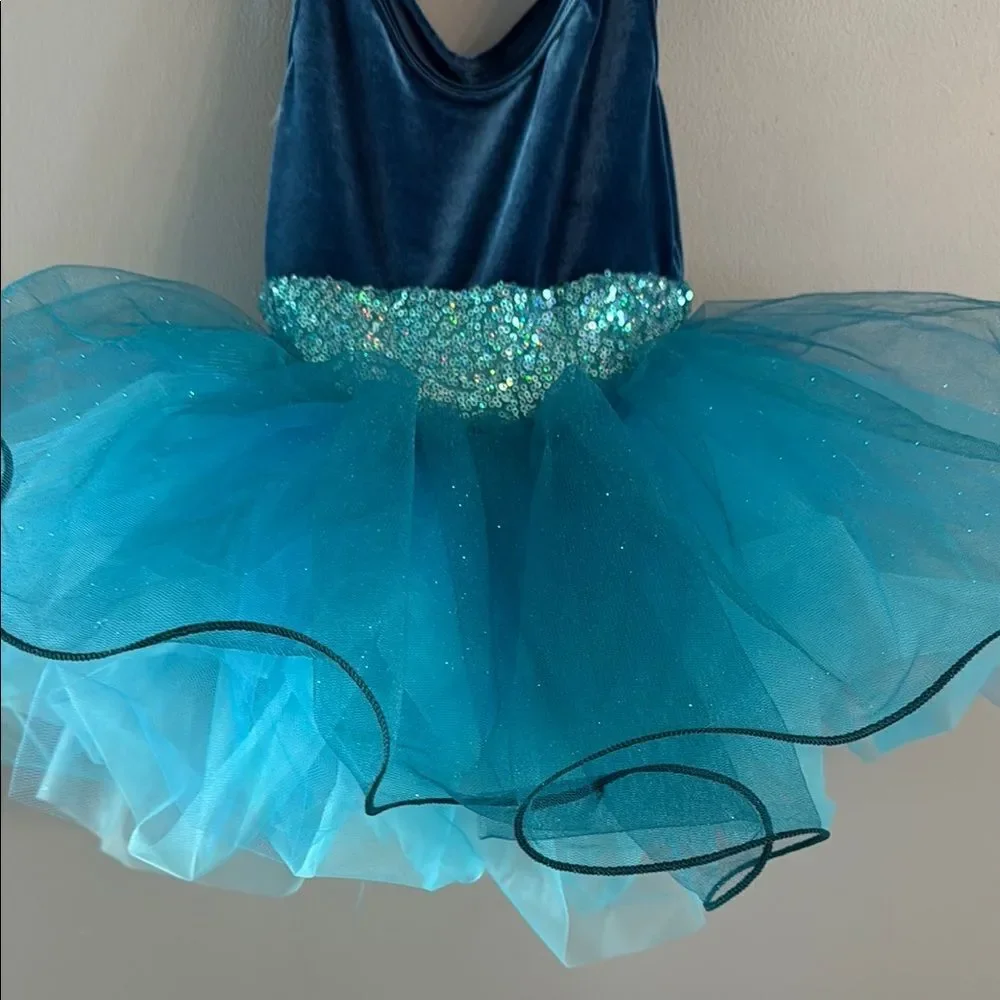 Girl’s Small blue Ballet Tutu Dress Dance Fairy Princess dress ~ Dress Up